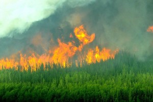 Fire on Wood Buffalo National Park Canada. photo by John McKinno