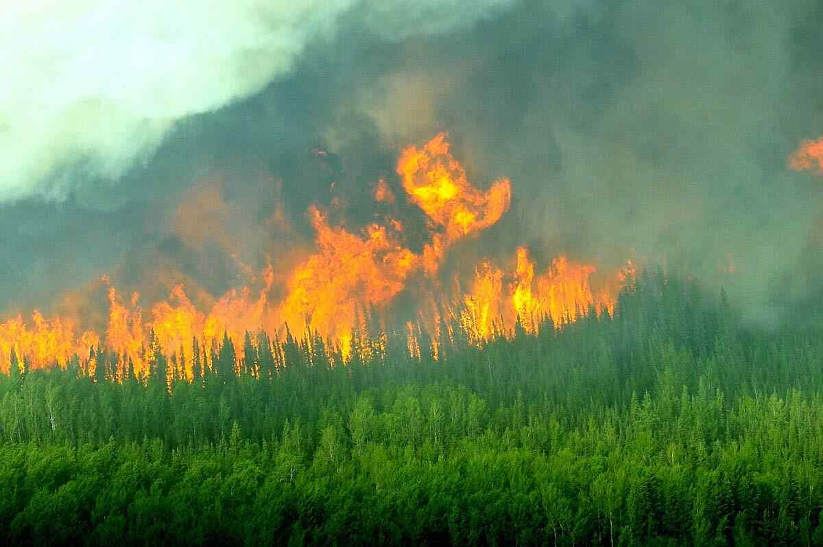 Fire on Wood Buffalo National Park Canada. photo by John McKinno