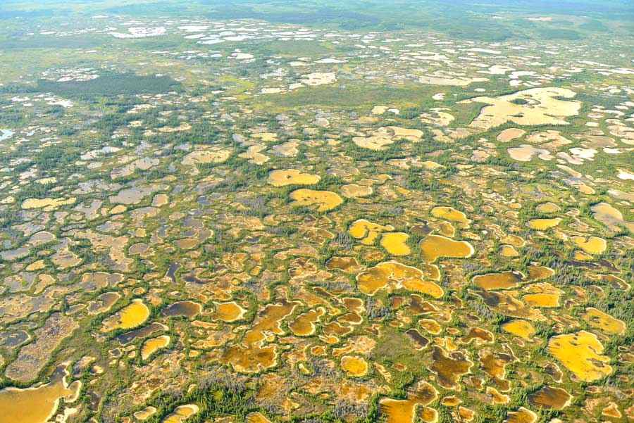 Figure 3. The Wood Buffalo nesting area used by whooping cranes. Photo: John McKinnon / ©Parks Canada /Wood Buffalo National Park