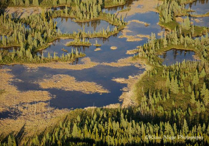 Wood Buffalo National Park