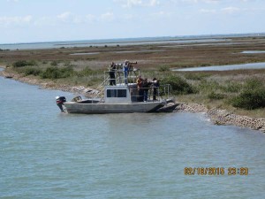 Whooping Crane Festival