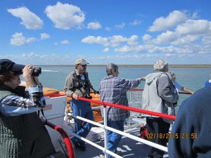 Whooping Crane Festival