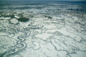 Whooping Crane Nesting Grounds