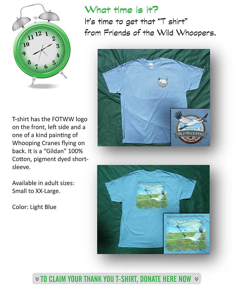 Wild Whooping Cranes