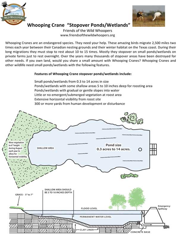 Whooping Crane “Stopover Ponds/Wetlands” Plans