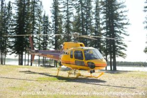 Whooping Crane nesting Grounds John D. McKinnon / ©Parks Canada / Wood Buffalo National Park