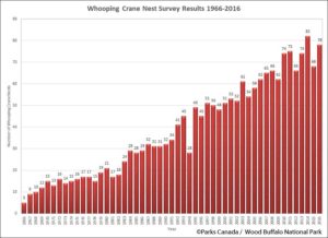Whooping Crane Nesting Grounds
