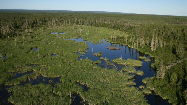 UNESCO World Heritage Sites in Canada threatened most often by oil, gas and mining