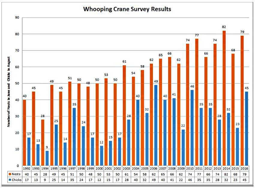Wood Buffalo National Park
