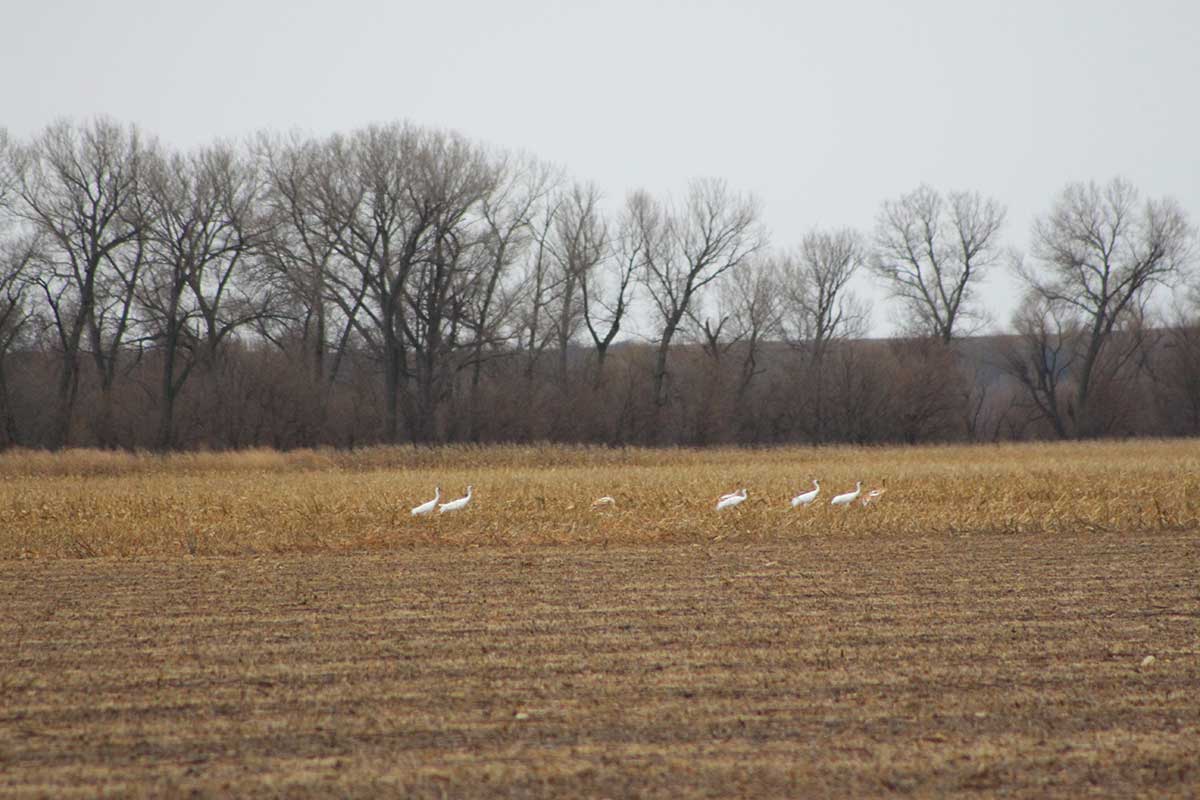 U.S.Army Corps of Engineers