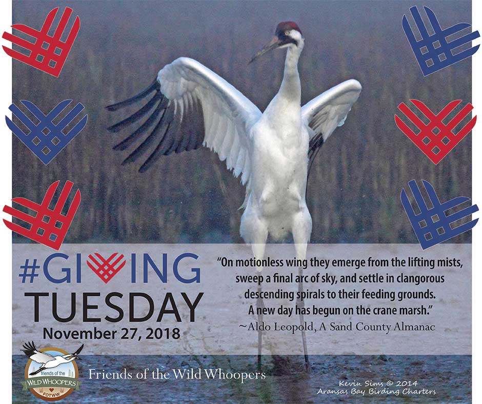 GivingTuesday