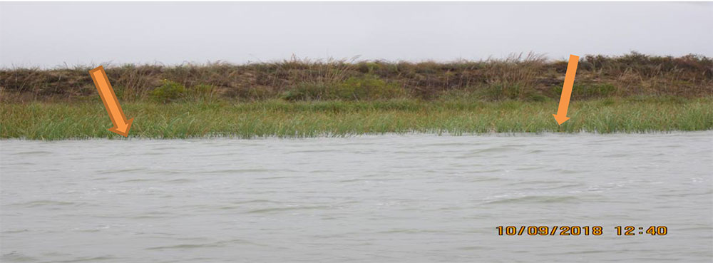 Fort Supply Lake, Oklahoma Figure 2. The short grass, shallow water and absence of trees and bushes in this photo cause it to be suitable for Whooping Crane “stopover habitat” during normal water levels. During our evaluation, abundant rain (8+ inches) caused the lake depth to be deeper than normal. Water depths vary occasionally due to abundant rain and long drought periods. Importantly, due to various shore configurations, when one area of a lake is not suitable, some other area of the lake will likely be suitable. Photo by Chester McConnell, Friends of the Wild Whoopers.