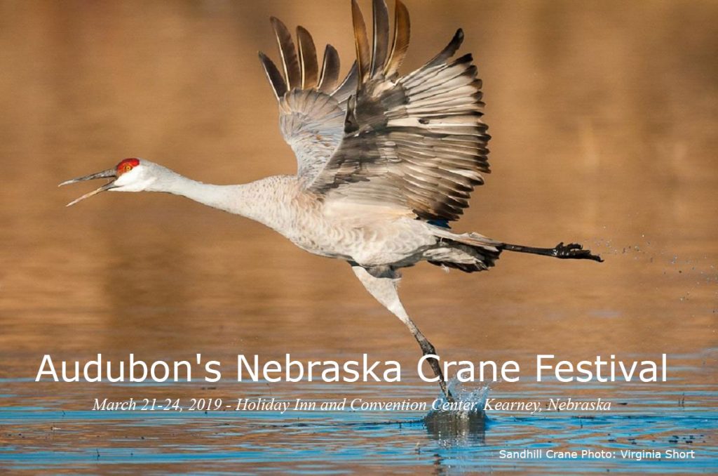Nebraska Crane Festival