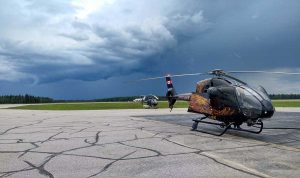whooping crane survey