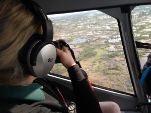 whooping crane survey
