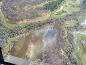 Whooping crane survey