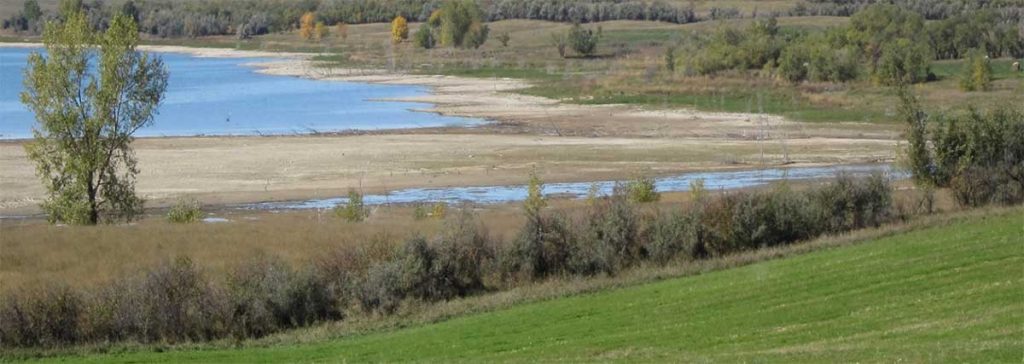 whooping crane stopover habitat