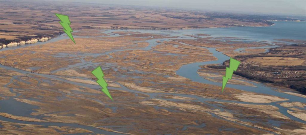 Whooping crane stopover habitat