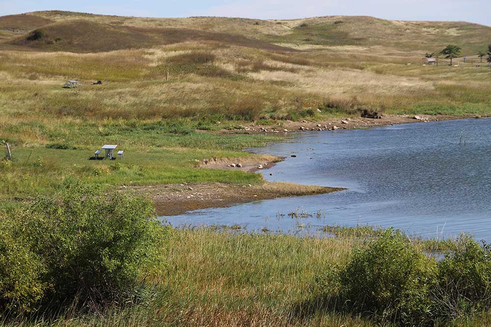 whooping crane stopover habitat